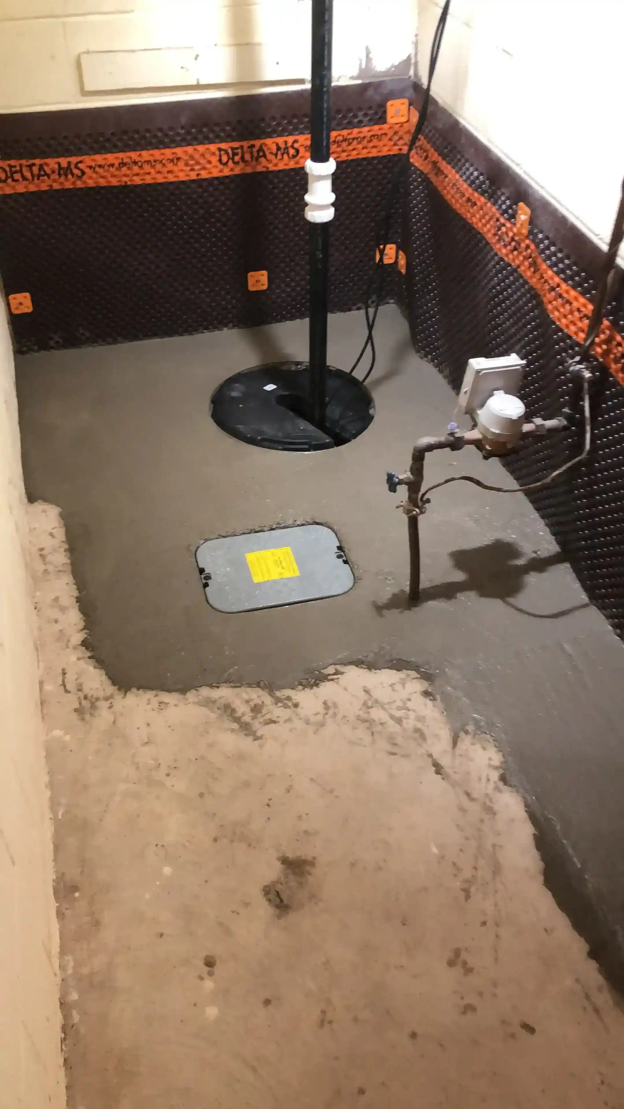 Complete sump pump and backflow preventer system