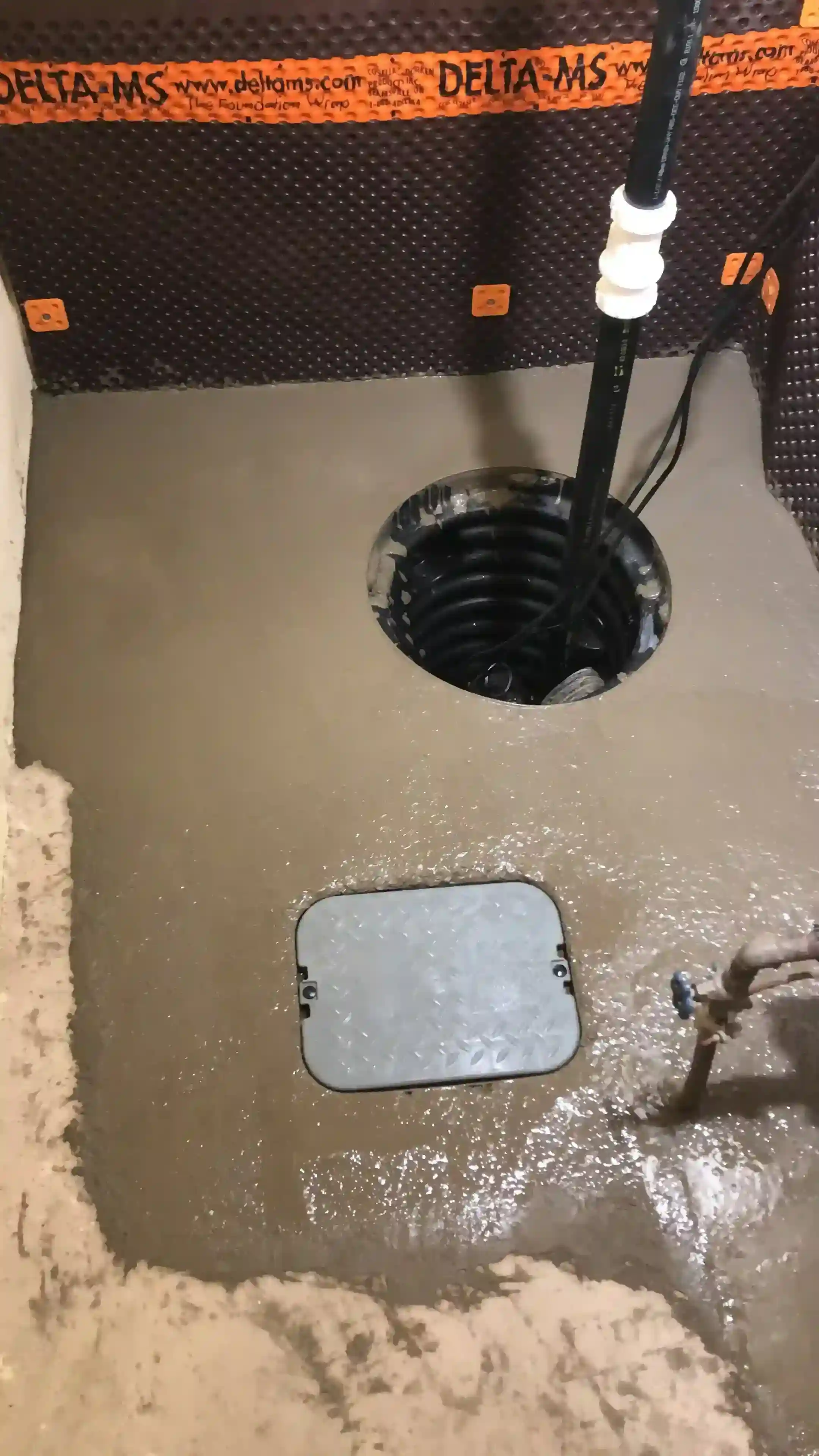 Sump pump and backflow preventer