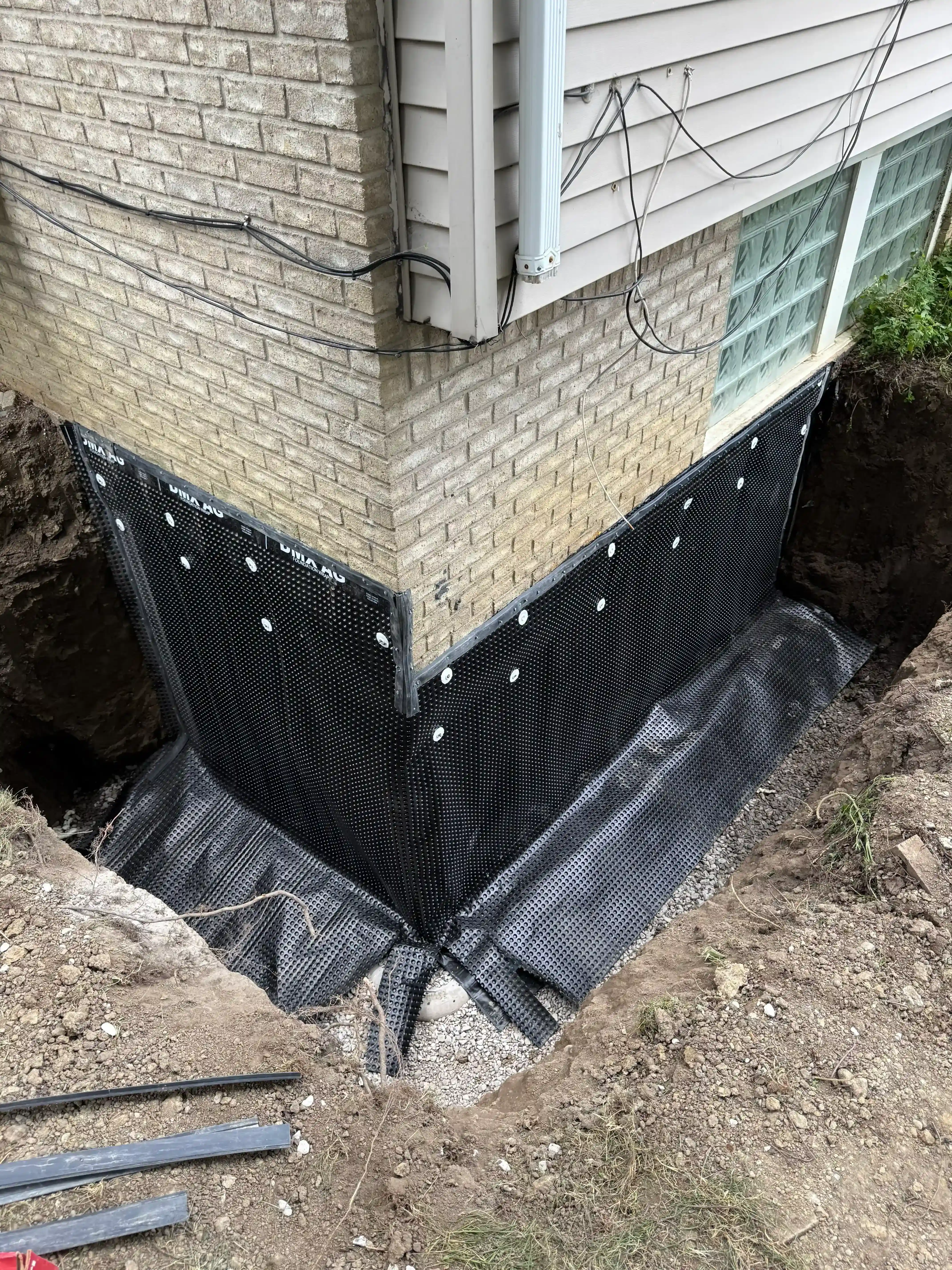 Delta-MS exterior membrane