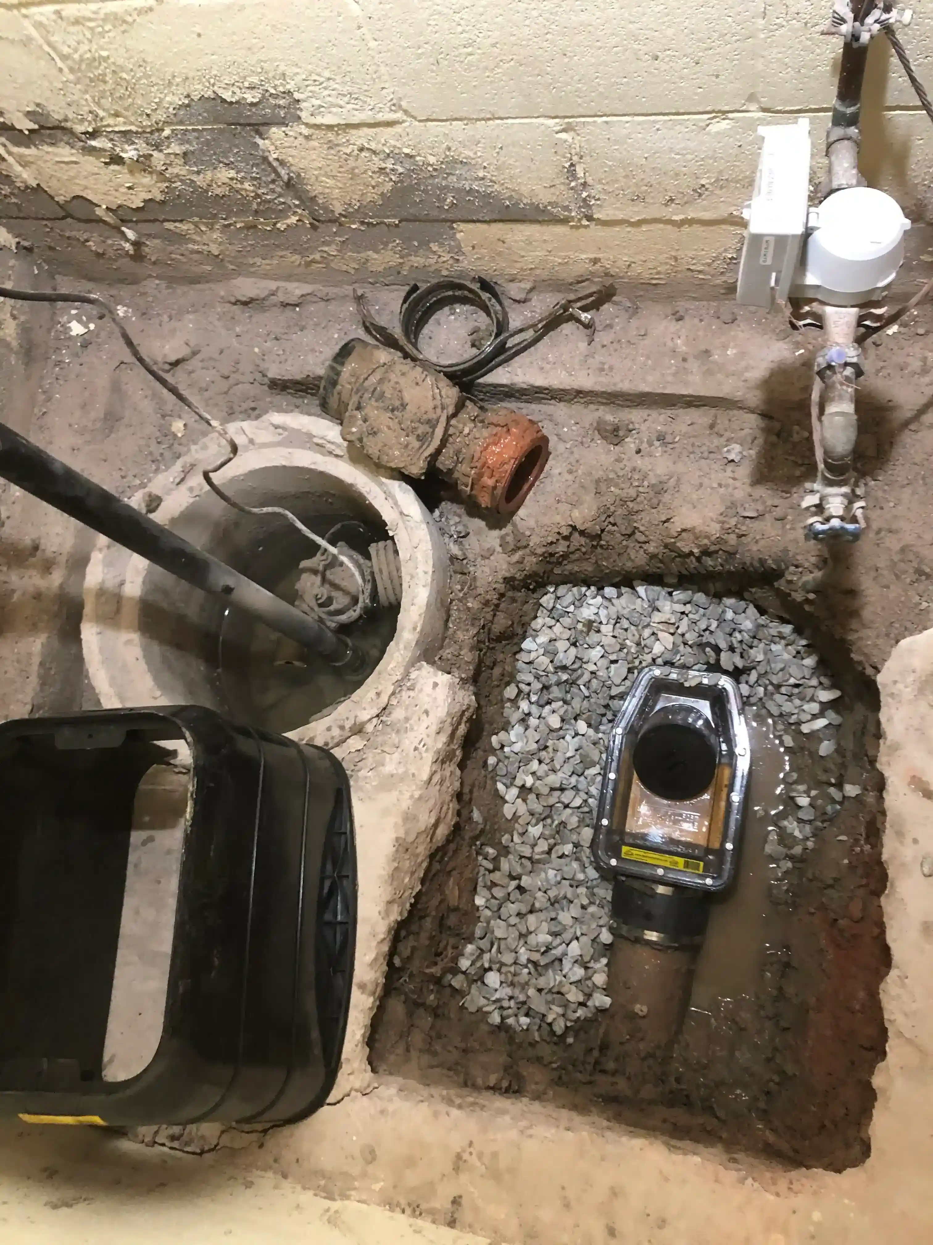 Sump pump and backwater valve