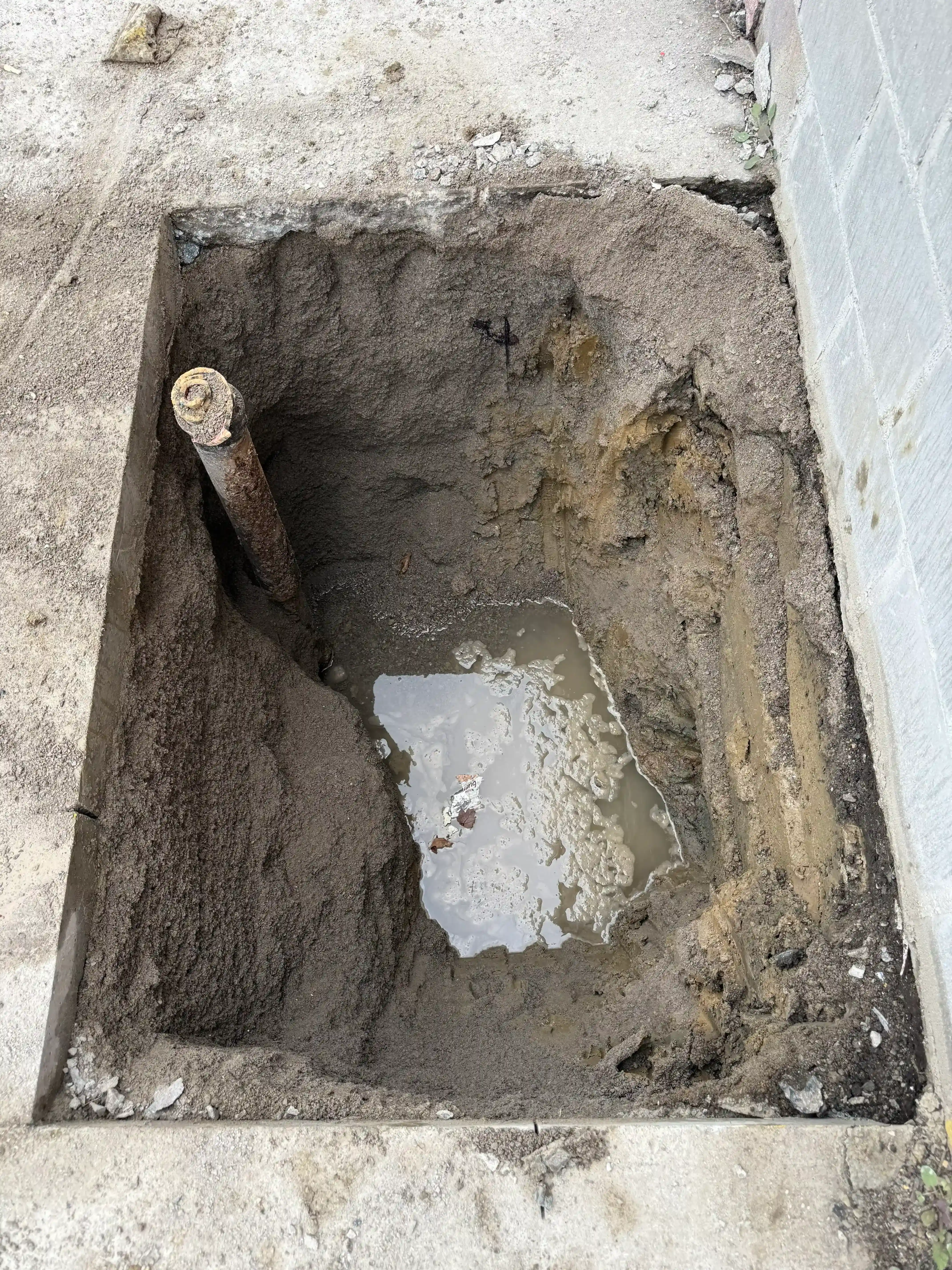 Exposing Failed Service Line