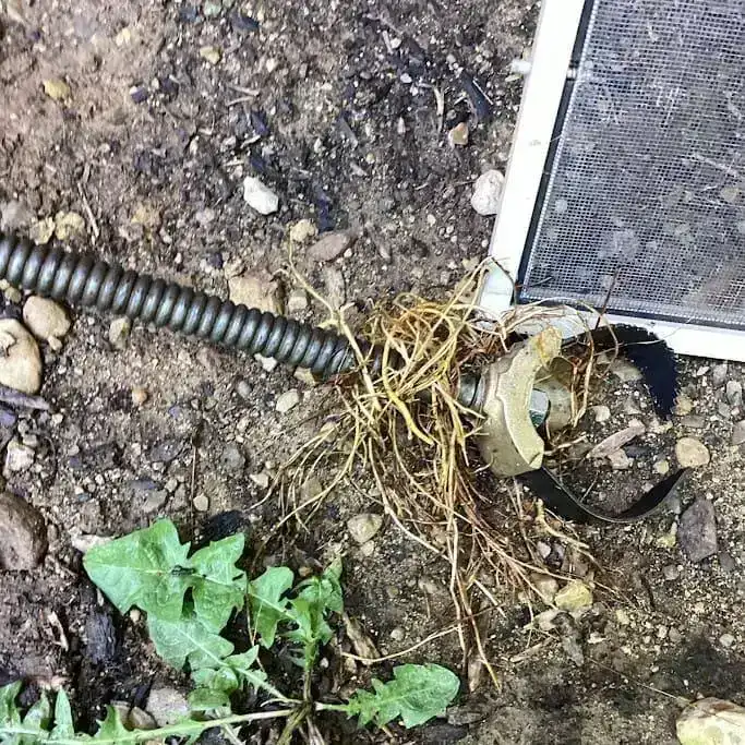 Complete Blockage Clearance - Before & After