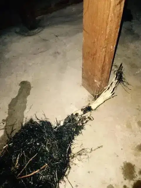 Grease & Debris Removal - Before & After