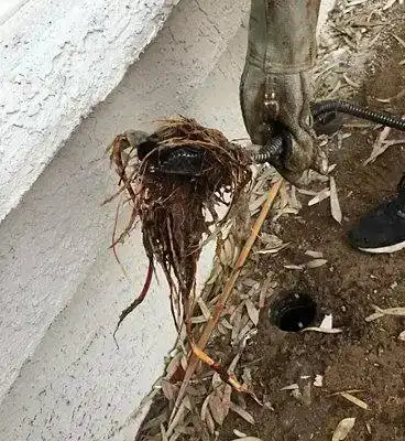 Bathroom Drain Cleaning - Before & After