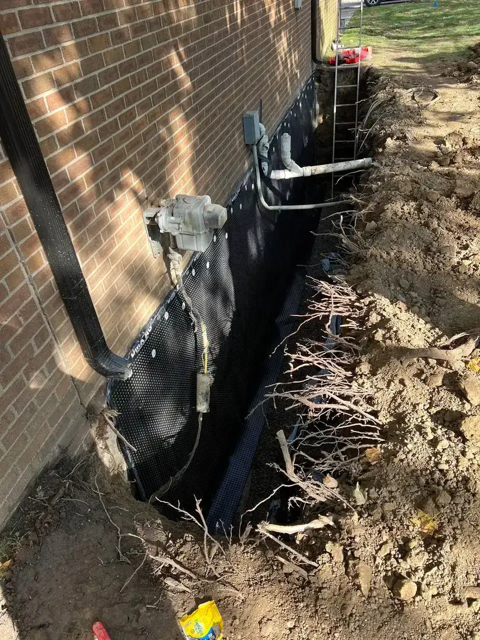 Complete Membrane System