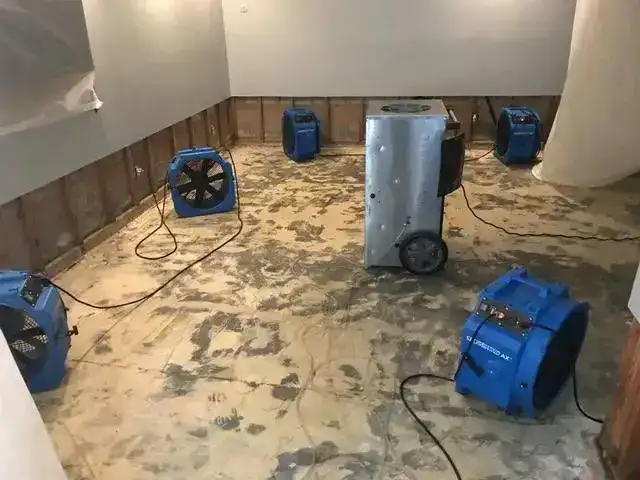 Basement Flood Damage Restoration